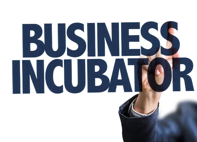 Vườn ươm doanh nghiệp nâng cao năng lực trung gian