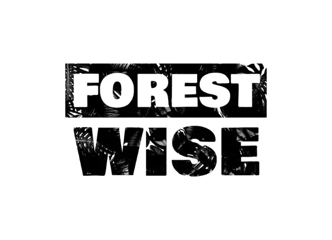 Forestwise phát triển mô hình kinh tế rừng bền vững từ bơ Illipe