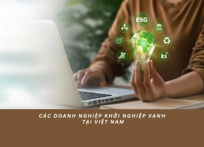 Các doanh nghiệp khởi nghiệp xanh tại Việt Nam